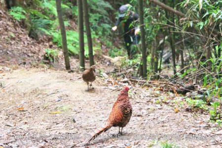 スリーショット