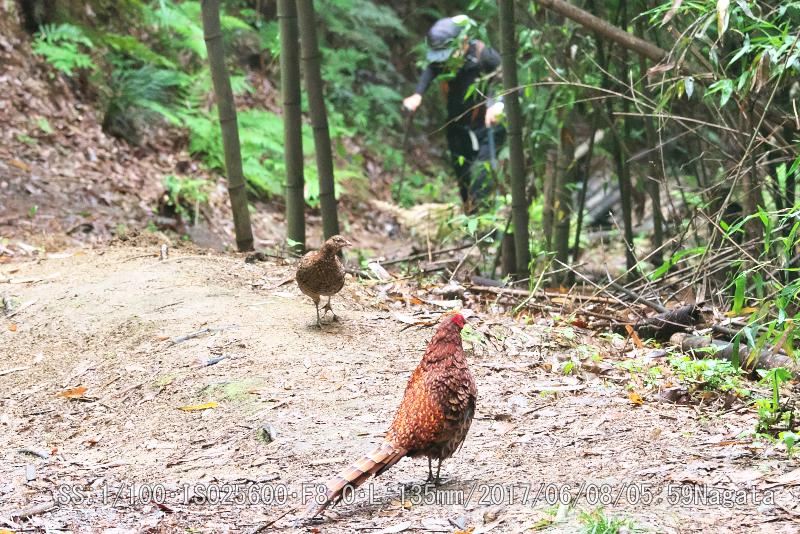 スリーショット