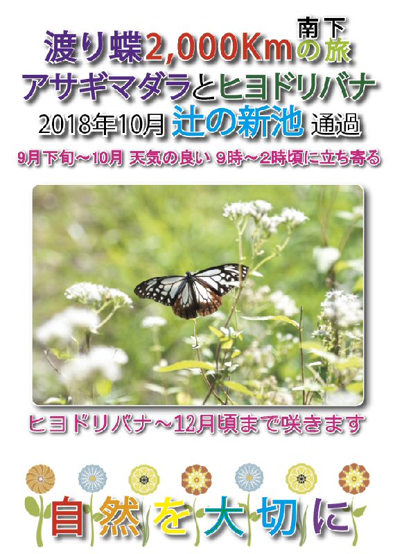 チラシ