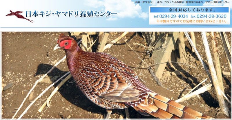 日本キジ・ヤマドリ養殖センター