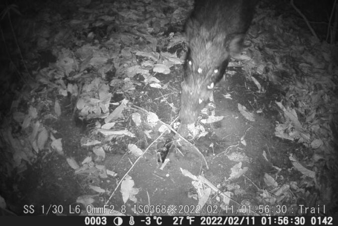 動画、静止画のタイミングが一致