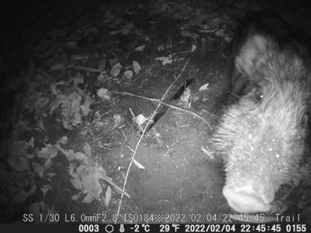 カメラに気付く