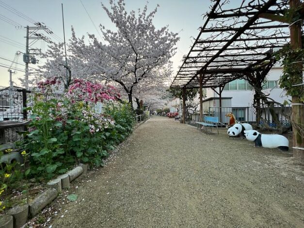 源平桃・パンダ通り