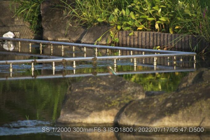 ピンボケ、手ブレ