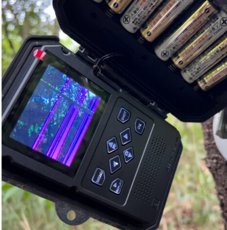 カメラ壊れて新規に