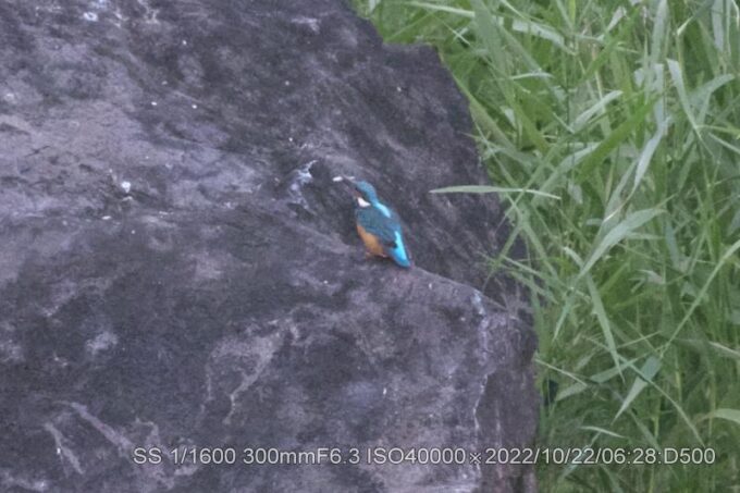 久しぶりのダイビング