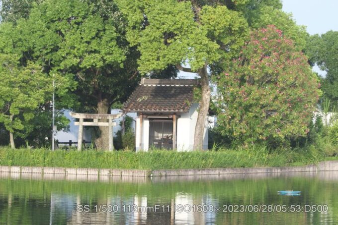 弁天池・夾竹桃